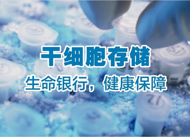 生物工程：工科还是理科？一份基于学科本质的分步解析