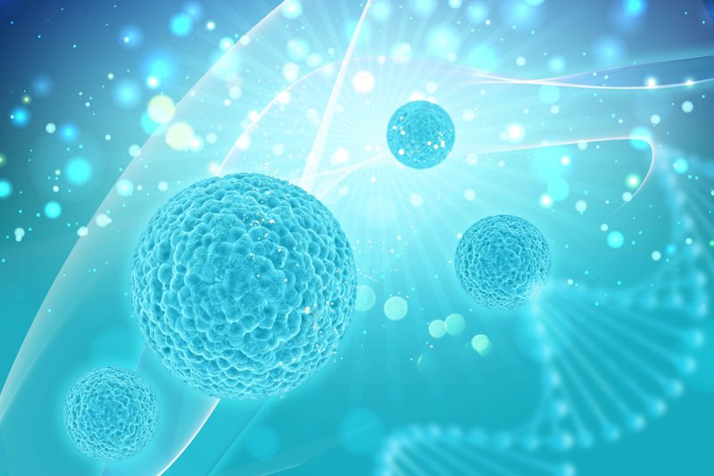 生物工程2026年：破解三大核心痛点的实战指南
