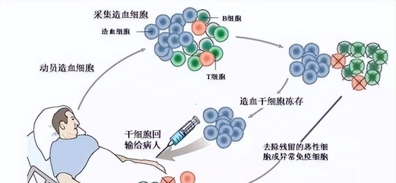2026年，干细胞存储：从“健康保险”到“生命密码”的战略升级