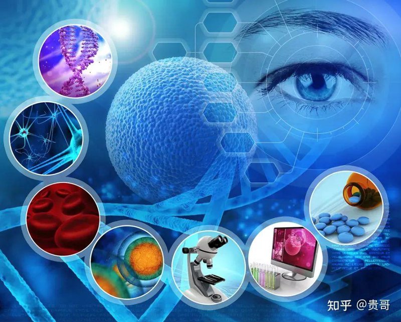 细胞治疗：一场我们正在经历的医学革命，你准备好了吗？