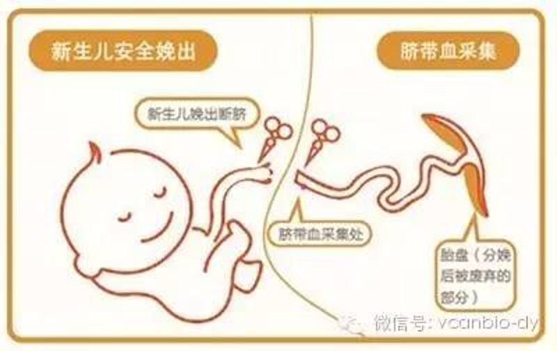 生物技术考研：选方向还是选学校？一场关乎未来的深度思辨