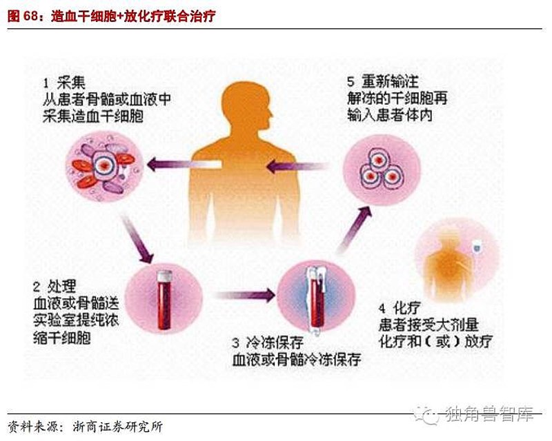 生物工程2026年：破解细胞治疗落地的三大核心难题