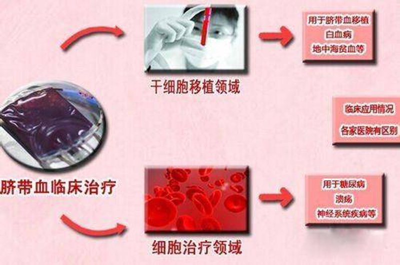2026年细胞治疗:迈向生命修复新时代的六步行动指南