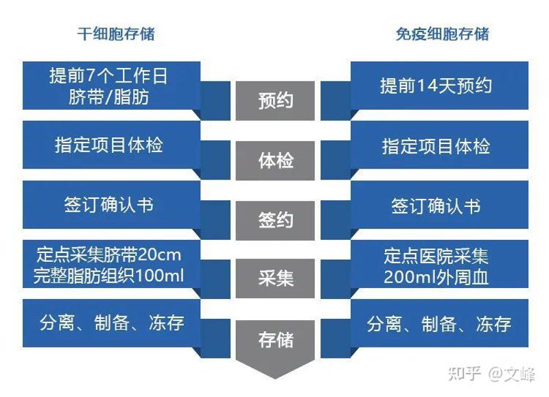 再生医学：2026年数据揭示人体“自我修复”的科学真相
