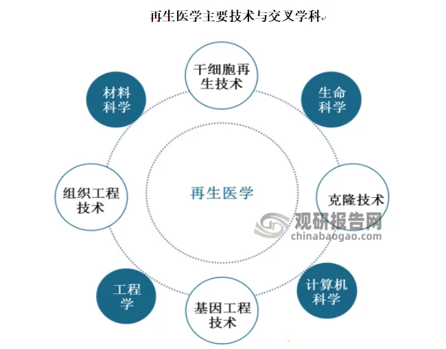 2026年细胞治疗费用破冰：从百万天价到医保覆盖的成本解构